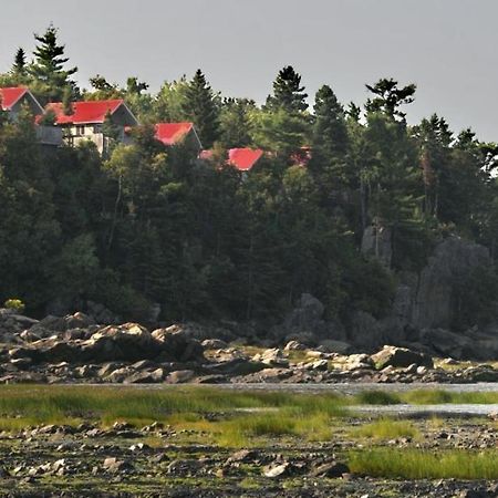 Camping & Chalets De La Demi-Lieue Hotel Saint-Jean-Port-Joli Exterior photo